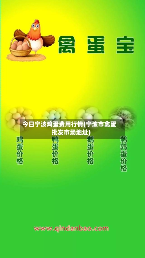 今日宁波鸡蛋费用行情(宁波市禽蛋批发市场地址)-第2张图片