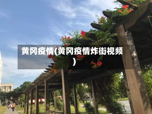 黄冈疫情(黄冈疫情炸街视频)-第1张图片