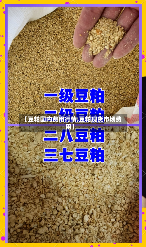 【豆粕国内费用行情,豆粕现货市场费用】-第1张图片