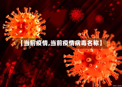 【当前疫情,当前疫情病毒名称】-第2张图片