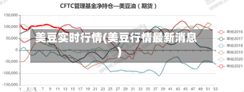 美豆实时行情(美豆行情最新消息)-第1张图片