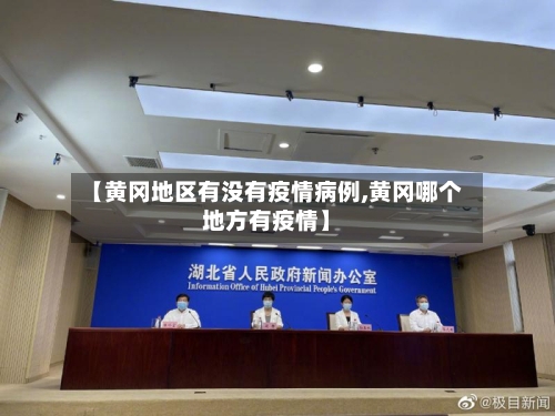 【黄冈地区有没有疫情病例,黄冈哪个地方有疫情】-第3张图片