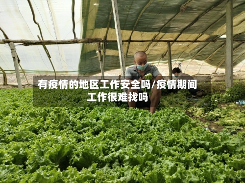 有疫情的地区工作安全吗/疫情期间工作很难找吗-第1张图片