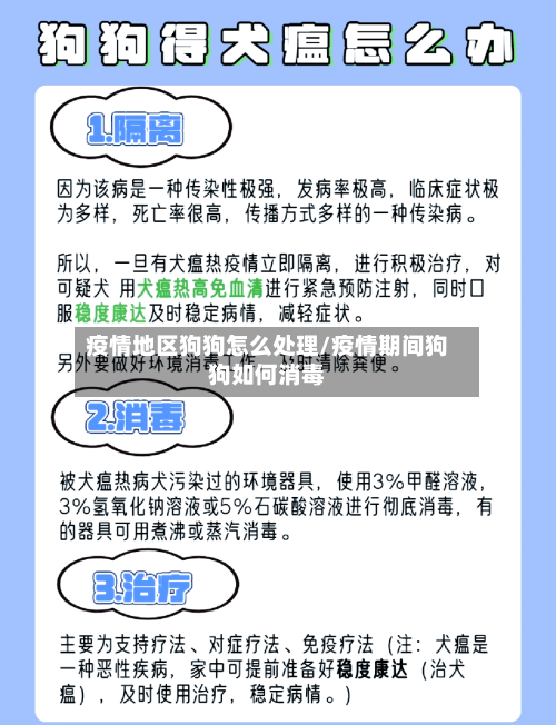 疫情地区狗狗怎么处理/疫情期间狗狗如何消毒-第1张图片
