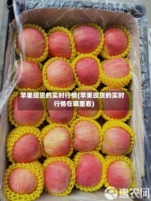 苹果现货的实时行情(苹果现货的实时行情在哪里看)-第1张图片