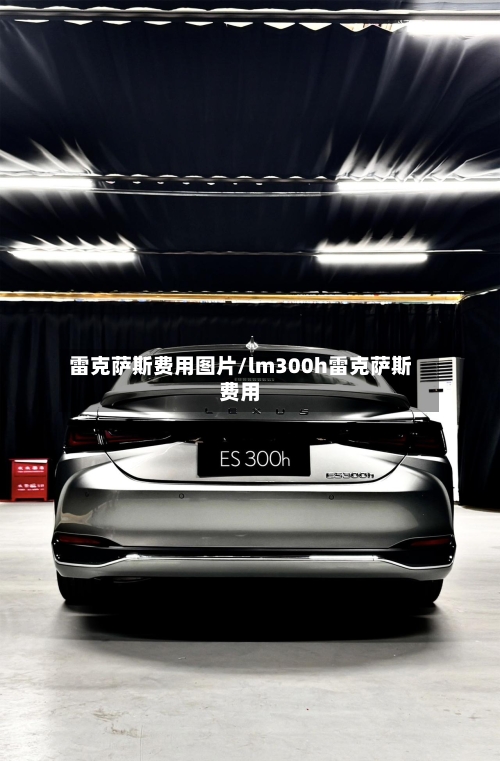 雷克萨斯费用图片/lm300h雷克萨斯费用-第2张图片