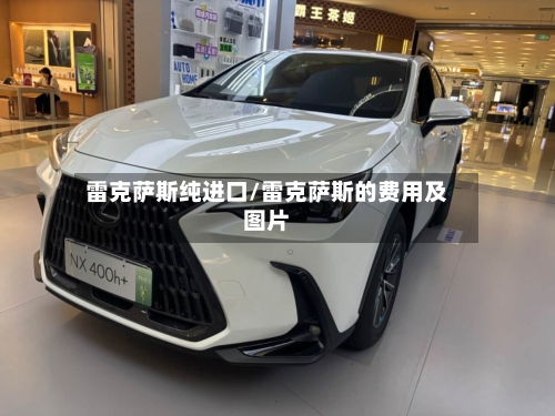 雷克萨斯纯进口/雷克萨斯的费用及图片-第1张图片