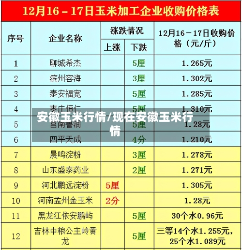 安徽玉米行情/现在安徽玉米行情-第1张图片