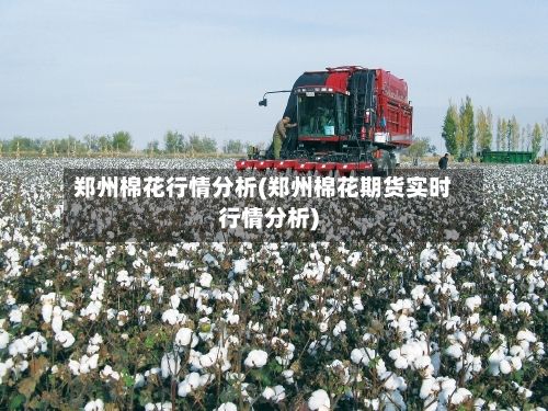 郑州棉花行情分析(郑州棉花期货实时行情分析)-第1张图片