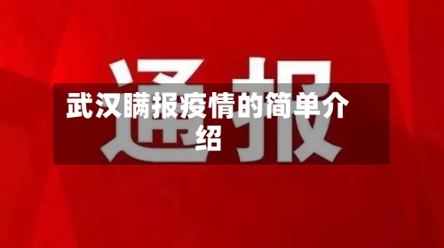 武汉瞒报疫情的简单介绍-第1张图片