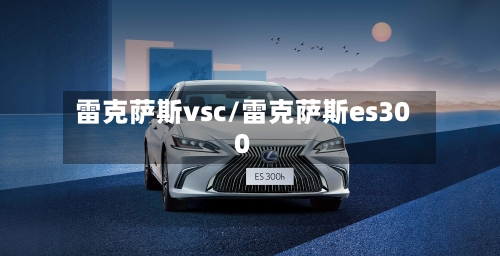 雷克萨斯vsc/雷克萨斯es300-第1张图片