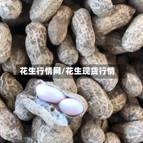 花生行情网/花生现货行情-第1张图片