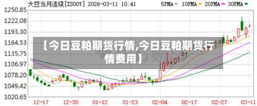 【今日豆粕期货行情,今日豆粕期货行情费用】-第3张图片