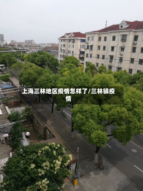 上海三林地区疫情怎样了/三林镇疫情-第1张图片