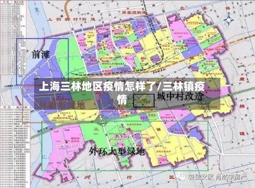 上海三林地区疫情怎样了/三林镇疫情-第2张图片