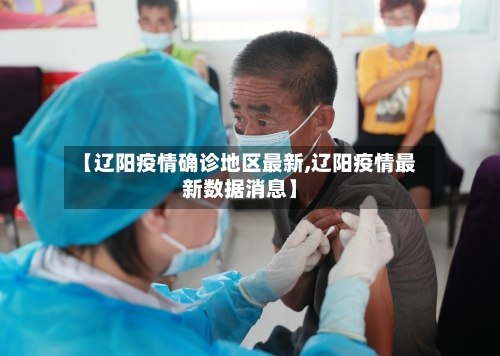 【辽阳疫情确诊地区最新,辽阳疫情最新数据消息】-第3张图片