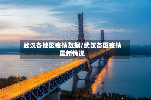 武汉各地区疫情数据/武汉各区疫情最新情况-第3张图片