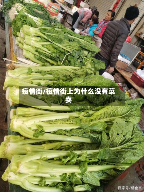 疫情街/疫情街上为什么没有菜卖-第2张图片