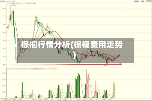 棕榈行情分析(棕榈费用走势)-第1张图片