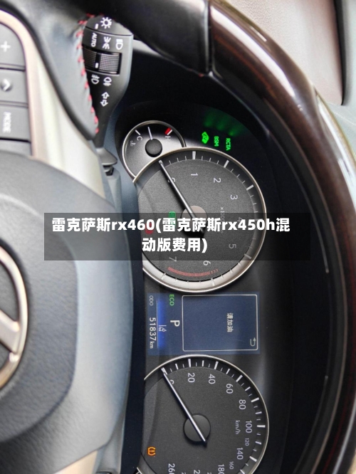 雷克萨斯rx460(雷克萨斯rx450h混动版费用)-第2张图片