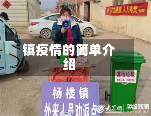 镇疫情的简单介绍-第1张图片