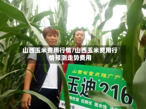 山西玉米费用行情/山西玉米费用行情预测走势费用-第2张图片