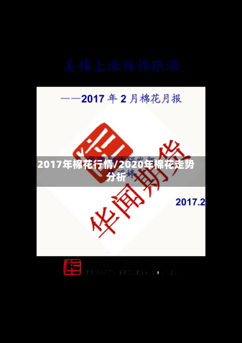 2017年棉花行情/2020年棉花走势分析-第3张图片