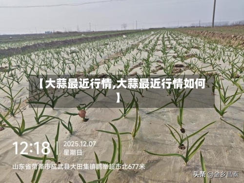 【大蒜最近行情,大蒜最近行情如何】-第1张图片