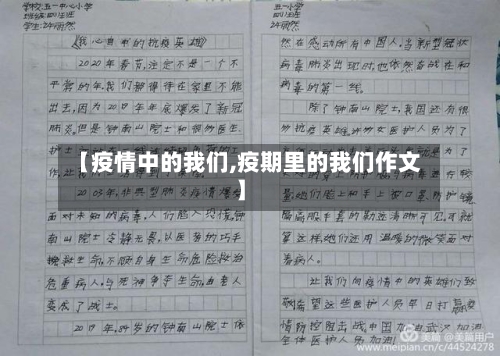 【疫情中的我们,疫期里的我们作文】-第3张图片