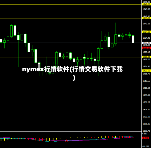nymex行情软件(行情交易软件下载)-第1张图片