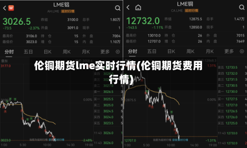伦铜期货lme实时行情(伦铜期货费用行情)-第2张图片