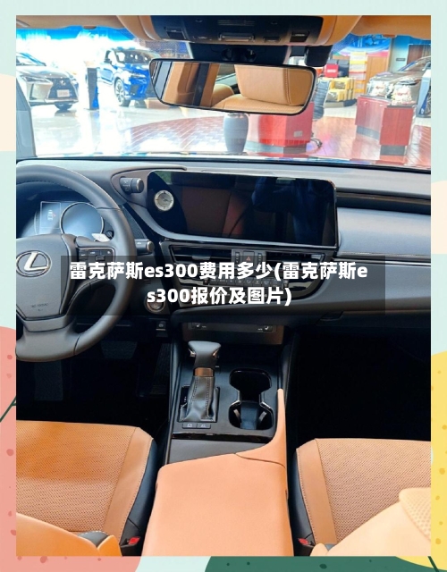 雷克萨斯es300费用多少(雷克萨斯es300报价及图片)-第2张图片