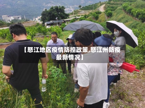 【怒江地区疫情防控政策,怒江州防疫最新情况】-第3张图片
