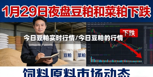 今日豆粕实时行情/今日豆粕的行情-第1张图片