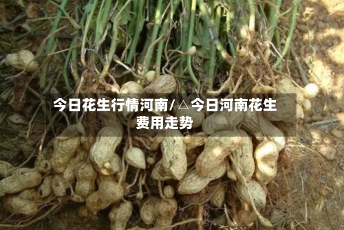 今日花生行情河南/△今日河南花生费用走势-第1张图片