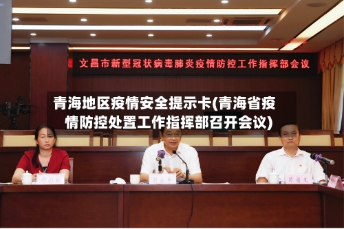 青海地区疫情安全提示卡(青海省疫情防控处置工作指挥部召开会议)-第2张图片