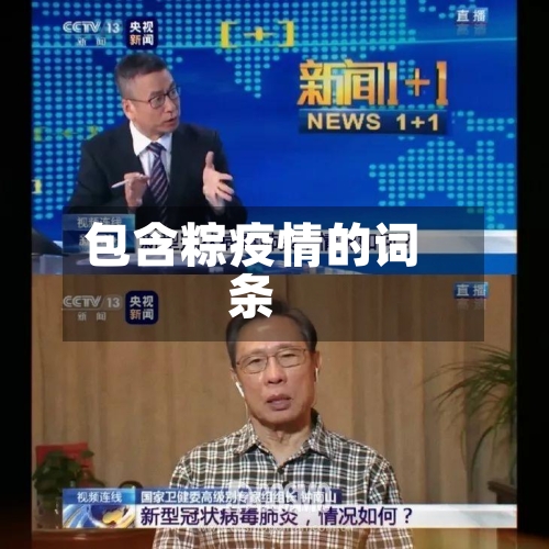 包含粽疫情的词条-第1张图片