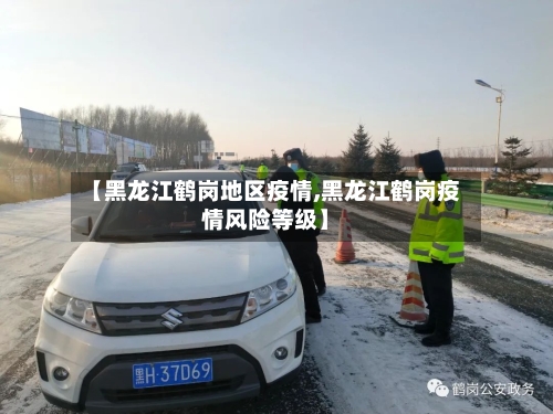 【黑龙江鹤岗地区疫情,黑龙江鹤岗疫情风险等级】-第2张图片