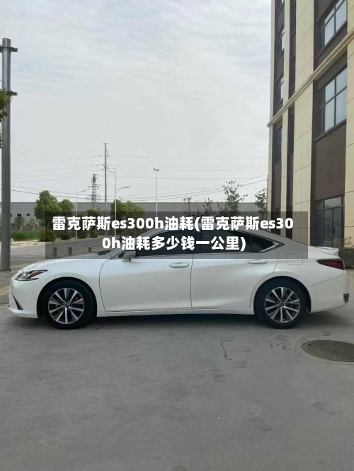 雷克萨斯es300h油耗(雷克萨斯es300h油耗多少钱一公里)-第1张图片