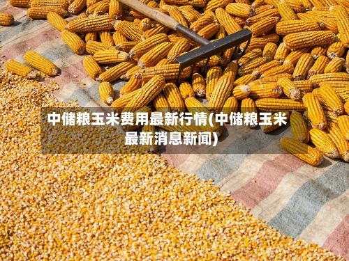 中储粮玉米费用最新行情(中储粮玉米最新消息新闻)-第1张图片