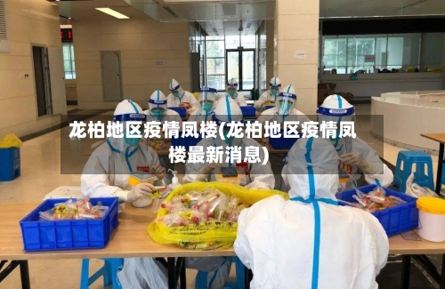 龙柏地区疫情凤楼(龙柏地区疫情凤楼最新消息)-第2张图片