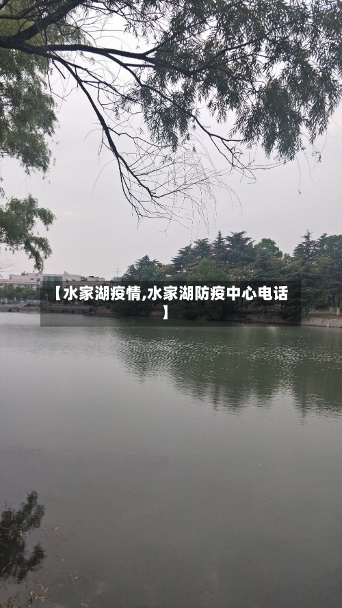 【水家湖疫情,水家湖防疫中心电话】-第3张图片