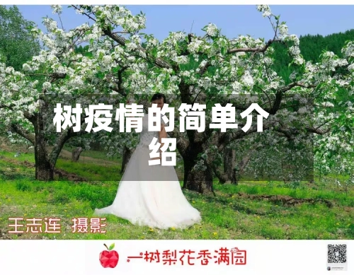 树疫情的简单介绍-第3张图片