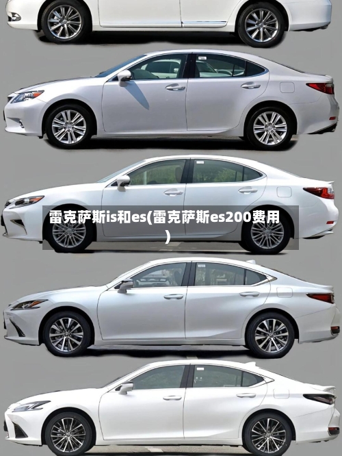 雷克萨斯is和es(雷克萨斯es200费用)-第1张图片