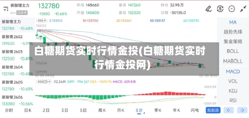 白糖期货实时行情金投(白糖期货实时行情金投网)-第1张图片