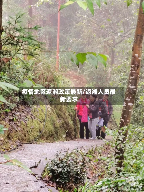 疫情地区返湘政策最新/返湘人员最新要求-第1张图片