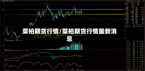 菜柏期货行情/菜柏期货行情最新消息-第1张图片