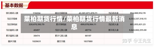 菜柏期货行情/菜柏期货行情最新消息-第2张图片