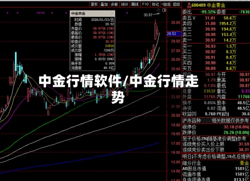 中金行情软件/中金行情走势-第3张图片