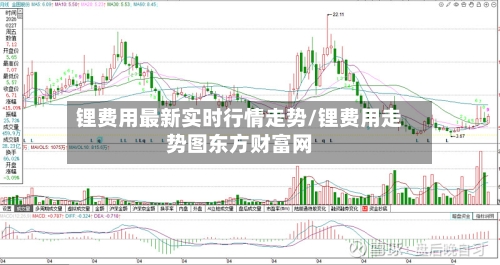 锂费用最新实时行情走势/锂费用走势图东方财富网-第1张图片